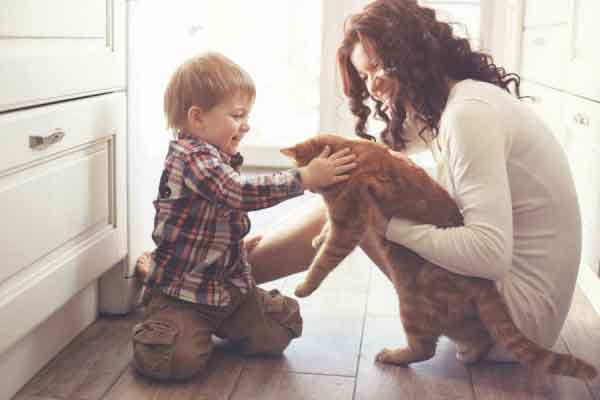 Bambini e gatti: le malattie che possono essere trasmesse