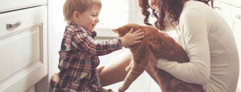 Bambini e gatti: le malattie che possono essere trasmesse